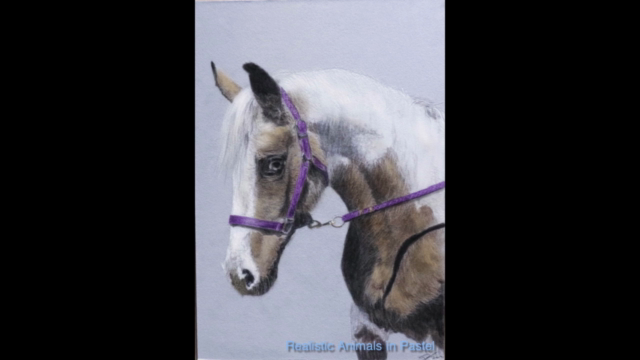 Realistic Animals with Pastels – Screenshot 2