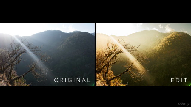 From Raw to a Perfect Photo - Develop & Process Like a Pro - Screenshot_03