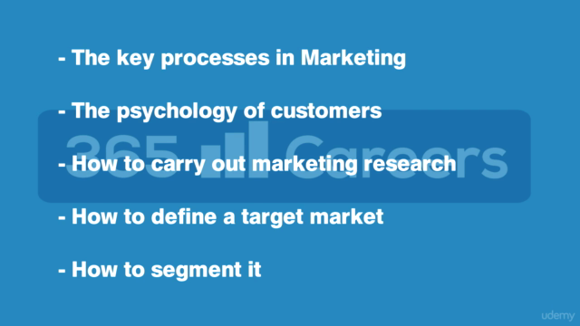 Business Fundamentals: Marketing Strategy – Screenshot 3