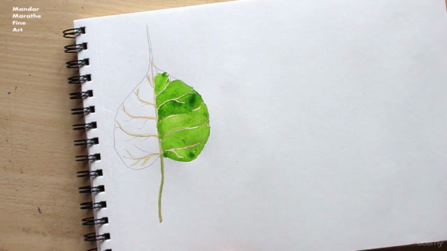 Sketchbook Everyday - Leaves in Watercolor – Screenshot 3