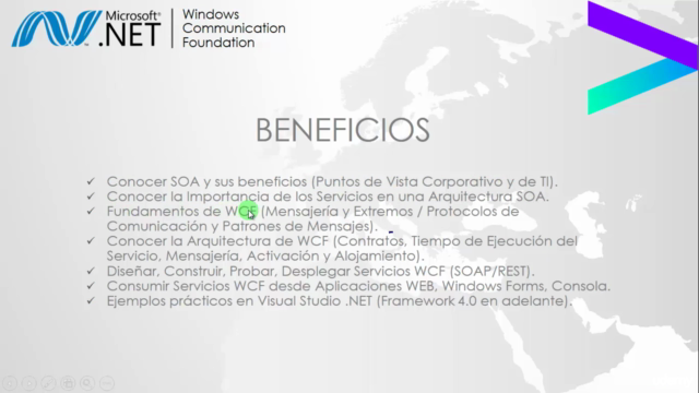 Servicios Web con Windows Communication Foundation (WCF) – Screenshot 1