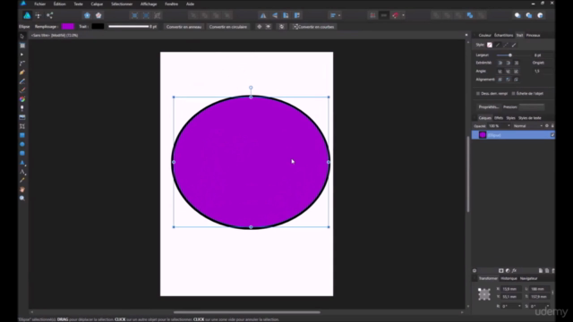 Pack d'initiation ILLUSTRATOR et AFFINITY DESIGNER – Screenshot 1