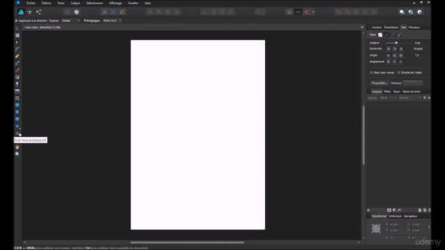 Pack d'initiation ILLUSTRATOR et AFFINITY DESIGNER – Screenshot 3