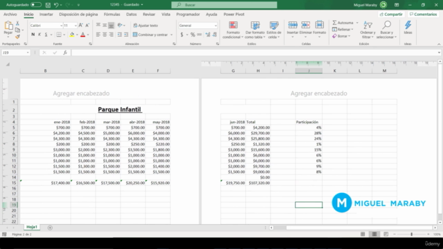 Excel Completo - Desde Principiante Hasta Avanzado – Screenshot 2