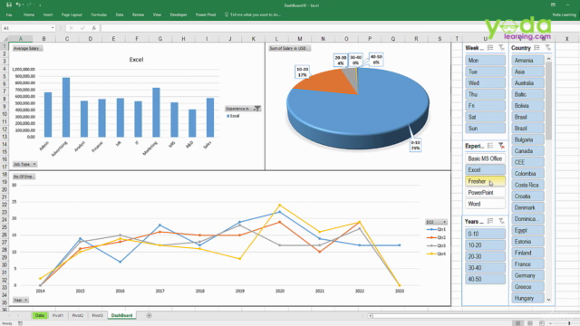 Microsoft Advanced Excel Dashboard : Zero To Hero (Complete) - Screenshot_01