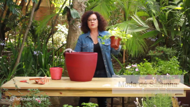 Aprenda jardinagem caseira – Screenshot 2