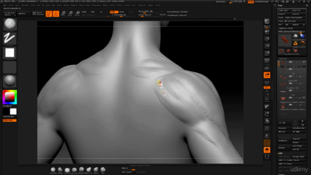 3D Master, from zero to hero Vol.5: Head Anatomy – Screenshot 3