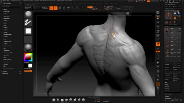 3D Master, from zero to hero Vol.5: Head Anatomy – Screenshot 4