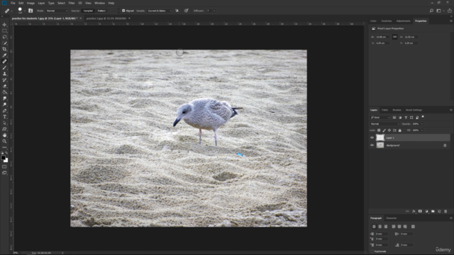Adobe Photoshop For Total Beginners: Become Photoshop Star – Screenshot 3