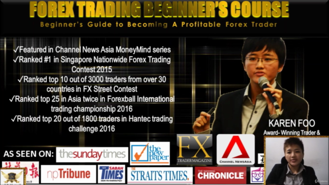 FOREX TRADING : Beginner's Course to Becoming a Top Trader – Screenshot 1