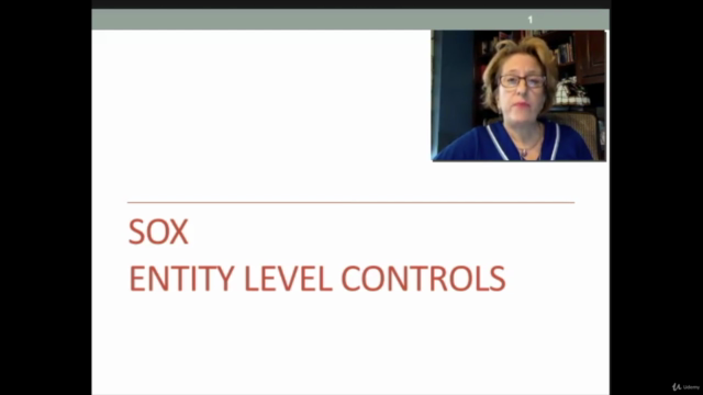 Sarbanes Oxley (SOX) Entity Level and Soft Controls – Screenshot 1