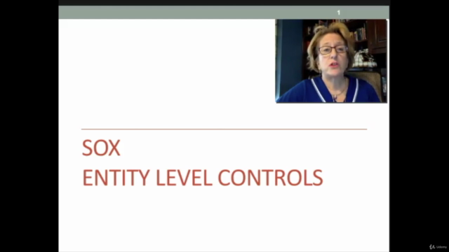 Sarbanes Oxley (SOX) Entity Level and Soft Controls – Screenshot 2