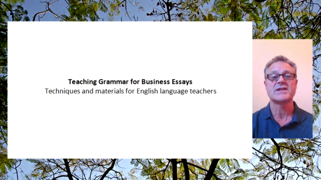 Teaching Grammar for Business Essays – Screenshot 1