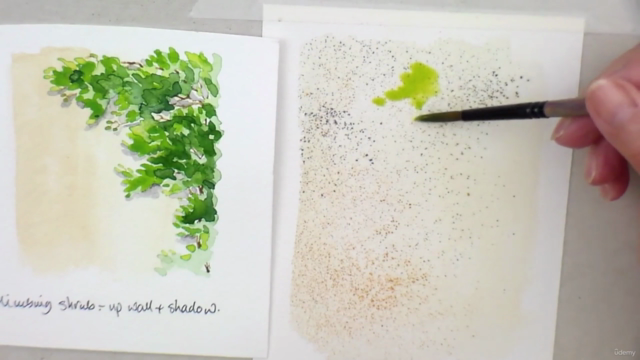 ESSENTIAL Paint TREES in watercolor. Clear videos show you. – Screenshot 4