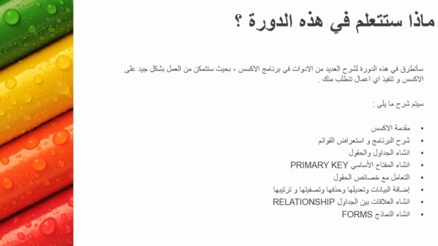Access تعلم اساسيات مايكروسوفت اكسس 2016 – Screenshot 4