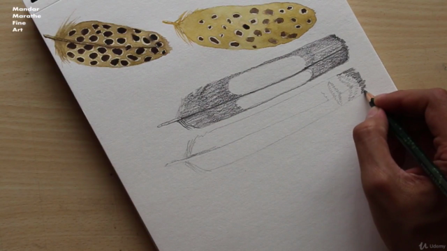 Sketchbook Everyday - Painting Feathers in Watercolor – Screenshot 2