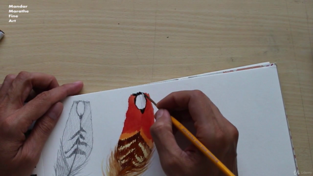 Sketchbook Everyday - Painting Feathers in Watercolor – Screenshot 3