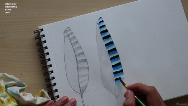 Sketchbook Everyday - Painting Feathers in Watercolor – Screenshot 4