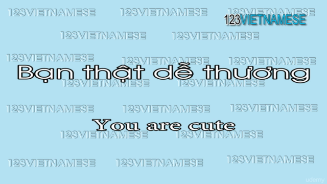 Learn Vietnamese common phrases – Screenshot 1