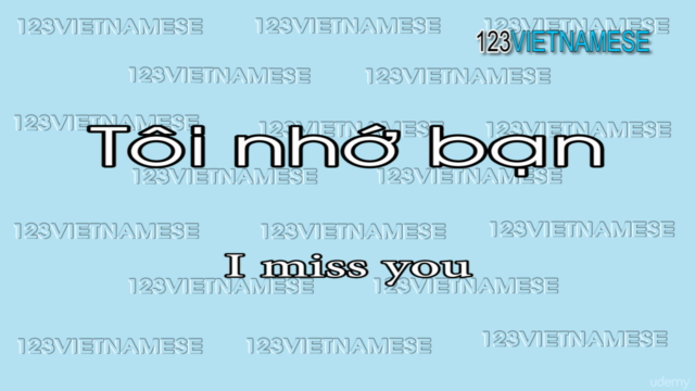 Learn Vietnamese common phrases – Screenshot 2