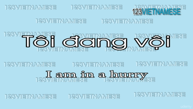 Learn Vietnamese common phrases – Screenshot 4
