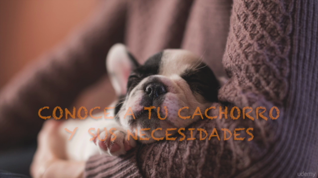 Conoce a tu cachorro y sus necesidades – Screenshot 1