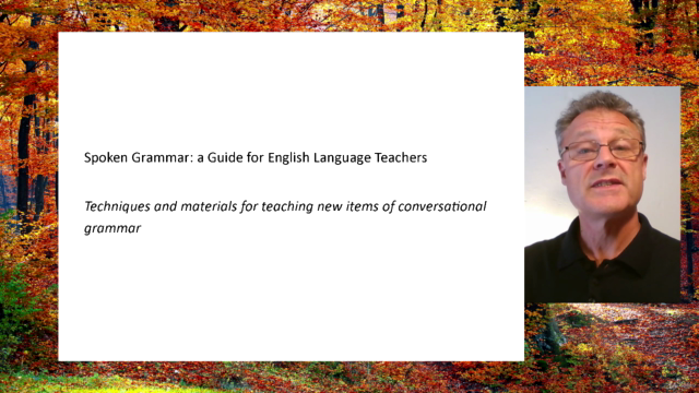 Spoken Grammar: a Guide for English Language Teachers – Screenshot 1