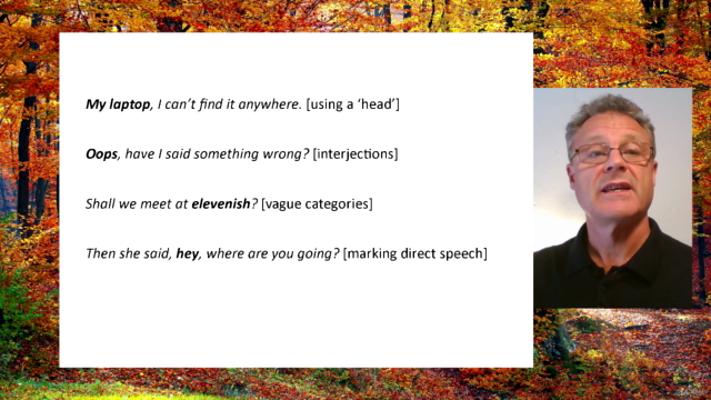 Spoken Grammar: a Guide for English Language Teachers – Screenshot 2