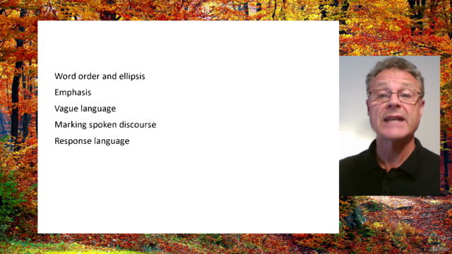 Spoken Grammar: a Guide for English Language Teachers – Screenshot 4