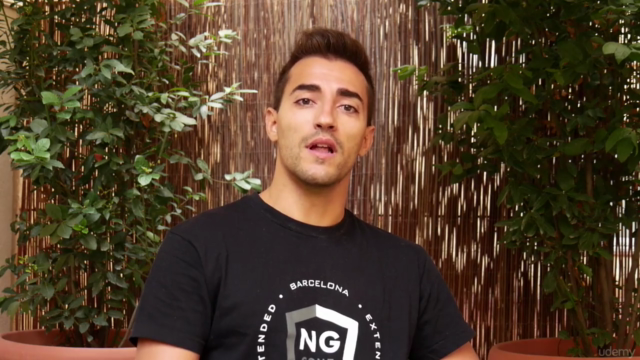 Angular Components - like a Pro! (Angular 2/4/5/6/7+) – Screenshot 1