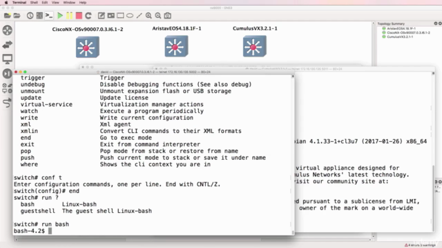 Linux for Network Engineers: Practical Linux with GNS3 – Screenshot 4