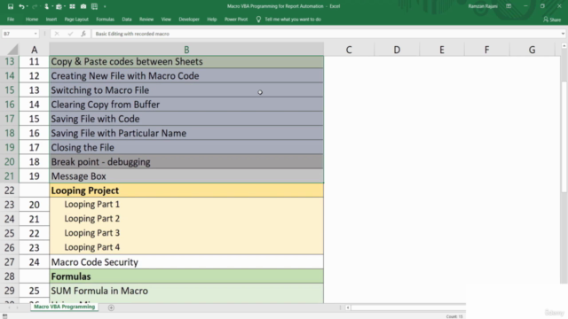 Excel Macros & VBA for Excel Report Automation – Screenshot 3