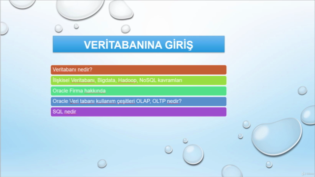 Oracle Veritabanı Yönetiminin Temelleri – Screenshot 2
