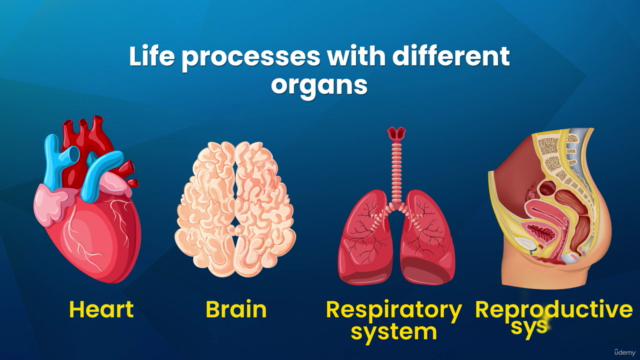 Complete Cell Biology Course: Learn Cell Structure, Tissues – Screenshot 2