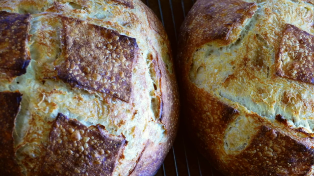 Bake San Francisco Style Sour Sourdough Bread – Screenshot 4