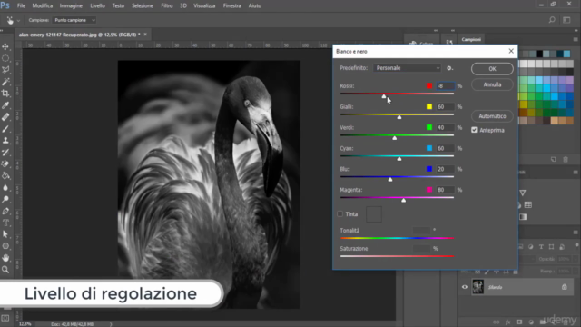 Corso base di Photoshop, gestisci foto e immagini digitali! – Screenshot 2