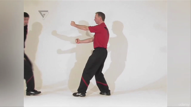 WT-Kampfkunst (Lehrerprogramm 5) – Screenshot 4