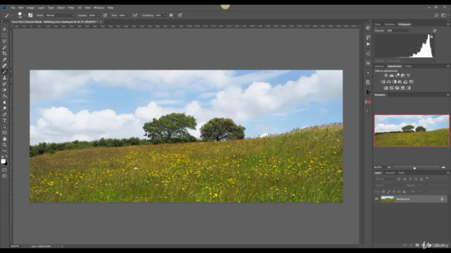 Mastering Photoshop Channel Masking – Screenshot 1