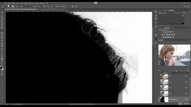 Mastering Photoshop Channel Masking – Screenshot 2
