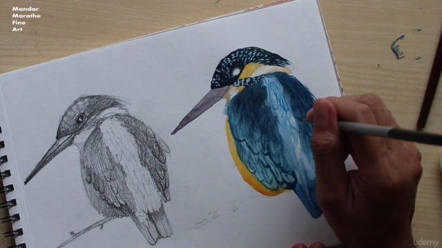 Sketchbook Everyday: Painting Birds in Watercolor – Screenshot 2