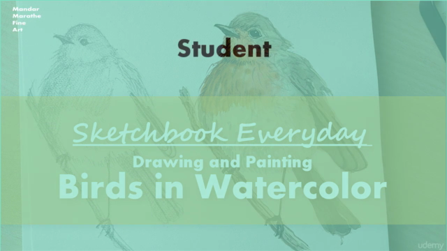 Sketchbook Everyday: Painting Birds in Watercolor – Screenshot 4