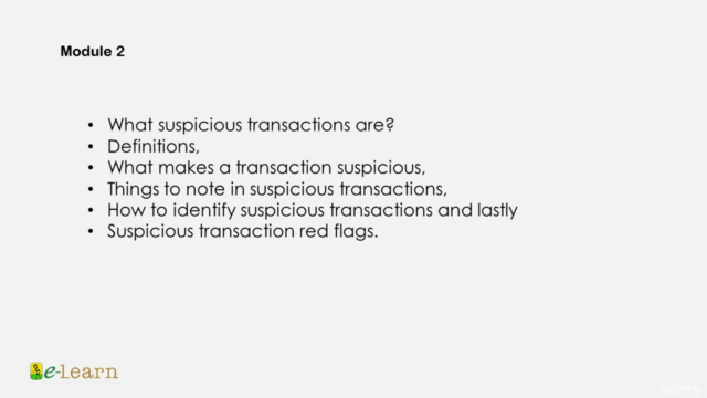 Identifying AML Suspicious Transactions – Screenshot 3