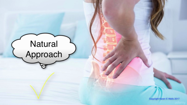 Fully Accredited Holistic Pain Management Diploma Course – Screenshot 4