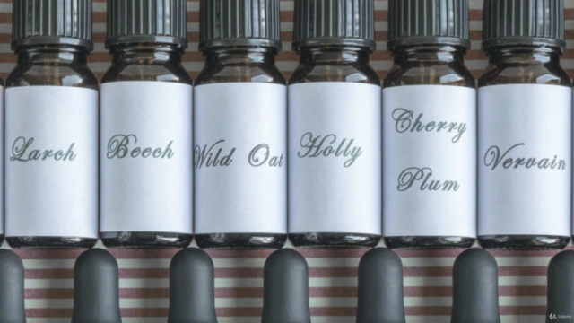 Energy healing with Flower Remedies – Screenshot 1