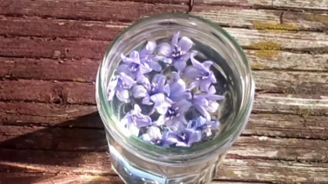 Energy healing with Flower Remedies – Screenshot 2