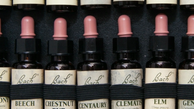 Energy healing with Flower Remedies – Screenshot 4
