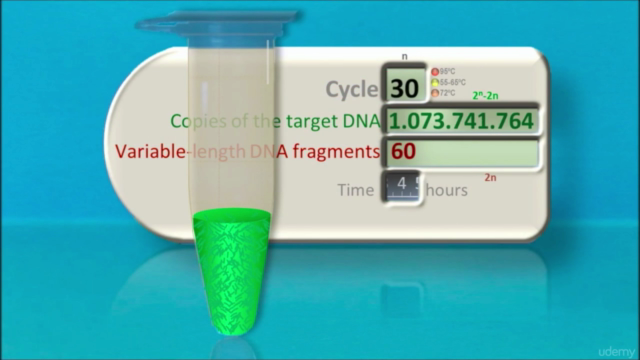 DNA Research using Biopython – Screenshot 3