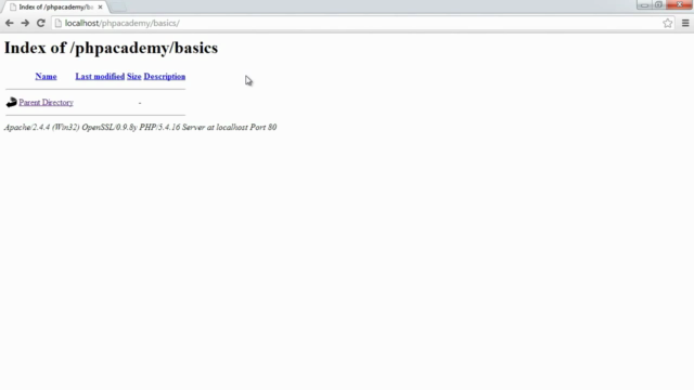 PHP Programming Basics – Screenshot 1