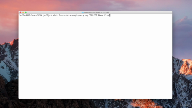 Getting Started with the Salesforce® DX CLI (SFDX) – Screenshot 3