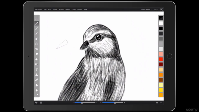 Complete Drawing On The iPad Using ArtStudio – Screenshot 3